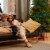 Twinkly String + Music 600 LED RGB Christmas Lights with Music Syncing Device Perspective: top