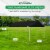 Caravan Canopy Domain 10 x 20' Straight Leg Instant Canopy Tent Set w/Sidewalls Perspective: top