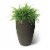 Algreen Valencia Curve Flower Pot Planter, Brown & FoxFarm Potting Soil, 12 Qt Perspective: top
