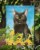Carolines Treasures CK3152GF Bombay in Sunflowers Garden Flag Perspective: top