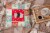 Carolines Treasures  CK5436PW1414 Teddy Guinea Pig Love Fabric Decorative Pillow Perspective: top