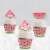 Big Dot of Happiness Sweet Watermelon Decor - Cupcake Wrappers & Treat Picks Kit 24 Ct Perspective: top