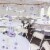 Big Dot of Happiness Dental School Grad - Party Supplies Kit Decor Galore Party Pack - 51 Pc Perspective: top
