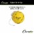 Champion Sports Tether Ball, Optic Yellow, Pack of 2 Perspective: top