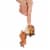 Mattel® Jurassic World Camp Cretaceous Carnotaurus Action Figure Perspective: top