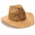 Collection 18 Straw Cowboy Hat - Tan Perspective: top