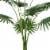 SAFAVIEH FAUX 72 POTTED PALM TREE Perspective: top