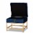 Bowery Hill Navy Blue Fabric and Gold Finished Metal Ottoman Perspective: top
