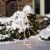 30  Holiday Pre-Lit Tree LED Rope Light Outdoor Yard Christmas Decoration, White Perspective: top