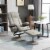 Faux Leather Recliner Chair, Living Room Swivel Chair w/ Ottoman Footrest, Grey Perspective: top