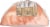 Boar’s Head Bold BourbonRidge Uncured Smoked Ham Perspective: top
