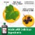 Robitussin Naturals Cough + Sleep Dietary Supplement Cough Relief and Sleep Syrup Perspective: top