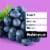 Children's Robitussin DM, Cough and Chest Congestion Relief, Dextromethorphan, Grape Flavor Syrup Perspective: top
