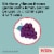 Children's Tylenol Chewables With 160 Mg Acetaminophen Grape Perspective: top