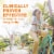 Citrucel Methylcellulose Fiber Orange Flavor for Occasional Constipation Relief Caplets Perspective: top