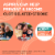 Bayer® Low Dose Chewable Aspirin Pain Reliever Orange Flavor Tablets 81mg Perspective: top