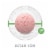 Bausch & Lomb PreserVision® Mixed Berry Flavor Areds 2 Eye Vitamin & Mineral Supplement Chewables Perspective: top