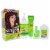 Garnier Nutrisse Nourishing Color Creme 66 True Red Hair Color 1 Application Perspective: top