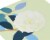 Papyrus Blank Card (White Rose) Perspective: top