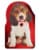 American Greetings #56 Valentine's Day Card (Puppy) Perspective: top