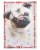 American Greetings Valentine's Day Card (Pug with Candy Heart) Perspective: top