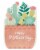 American Greetings #61 Mother's Day Card (Potted Succulents) Perspective: top