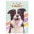 American Greetings Birthday Card - Nothing But Smiles (#39) Perspective: top