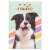 American Greetings Birthday Card - Nothing But Smiles (#39) Perspective: top