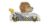 RC Knuckle-Headz - Lion Perspective: top