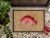 Carolines Treasures 8812JMAT Strawberry Snapper Doormat 24x36 Perspective: top