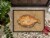 Carolines Treasures 8821JMAT Flounder Doormat 24x36 Perspective: top