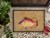 Carolines Treasures 8803MAT Hog Snapper Doormat 18x27 Perspective: top