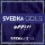 SVEDKA Vodka Glassware Gift Set Perspective: top