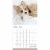 2022 Puppies 12 Month Wall Calendar by TF Publishing Perspective: top