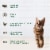 Freshpet Select with Salmon Grain Free Gourmet Pate with Salmon Cat Food Perspective: top