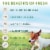 Freshpet Dog Treat, Dog Joy Slow Grilled Chicken Treat Perspective: top