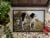 Two Springer Spaniels by Michael Herring Indoor or Outdoor Mat 24x36 Perspective: top