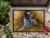 Carolines Treasures HMHE0007MAT English Setter by Michael Herring Doormat 18x27 Perspective: top