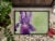 Carolines Treasures  TMTR0234MAT Purple Iris by Malenda Trick Indoor or Outdoor Perspective: top