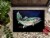 Carolines Treasures MW1213MAT Deep Blue Rainbow Trout Doormat 18x27 Perspective: top