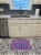 Carolines Treasures  8860RUG Butterfly on Purple Machine Washable Memory Foam Ma Perspective: top
