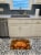 Carolines Treasures  PTW2009RUG Pumpkins and Fall Leaves Machine Washable Memory Perspective: top