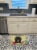 Easter Eggs Pekingese Black Machine Washable Memory Foam Mat Perspective: top