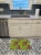 Carolines Treasures  BB7574RUG Watercolor Raddishes Machine Washable Memory Foam Perspective: top