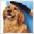 Deluxe Pet Grooming Glove Perspective: top