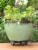 Down Under Plant Caddie - Black Perspective: top
