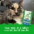 Feline Greenies Smartbites Healthy Indoor Natural Cat Treats Tuna Flavor Perspective: top
