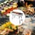 Kitcheniva Stainless Steel Charcoal Grill Perspective: top