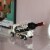 Decorative Rustic Metal White Single Bottle Cement Truck Wine Holder for Tabletop or Perspective: top