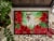 Carolines Treasures CK1318JMAT Irish Wolfhound Poinsettas Doormat 24x36 Perspective: top